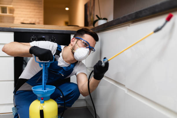 Flea Control Services in San Gabriel, CA