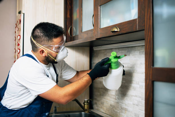 Professional Pest Control in San Gabriel, CA