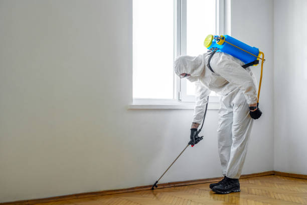 Best Pest Inspection Near Me  in San Gabriel, CA