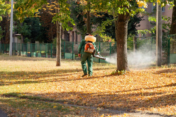 Best Mosquito Control Services  in San Gabriel, CA