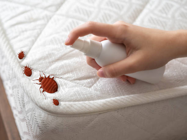 Pest Control Cost in San Gabriel, CA