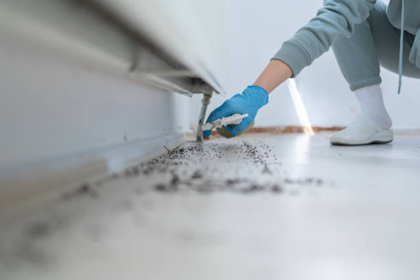 Best Residential Pest Control  in San Gabriel, CA